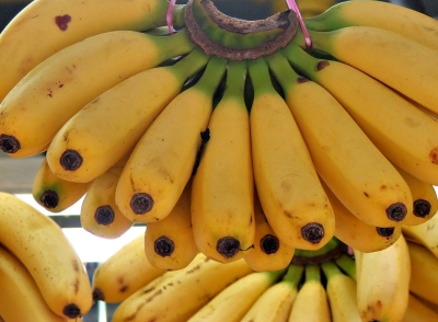 banana1.jpg